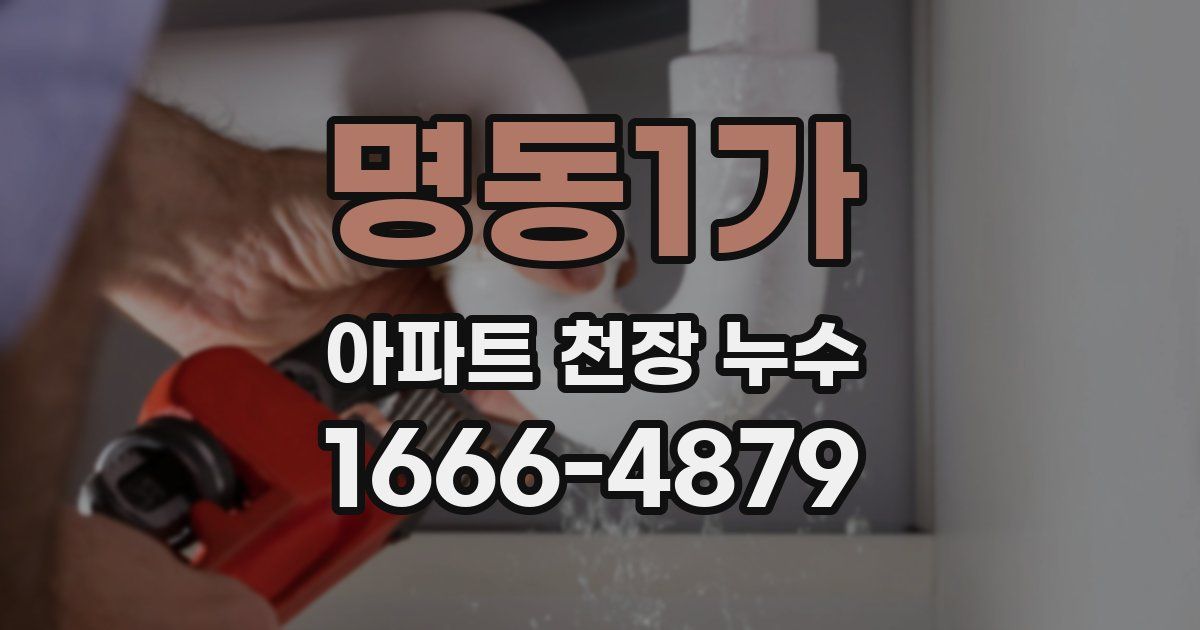 명동1가 아파트 천장 누수