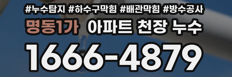 명동1가 아파트 천장 누수