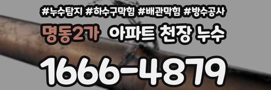 명동2가 아파트 천장 누수