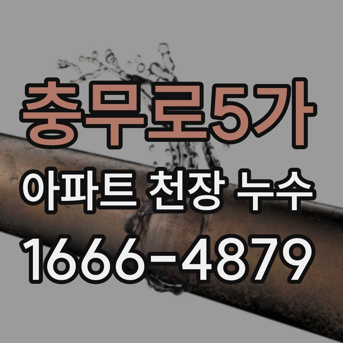 충무로5가 아파트 천장 누수