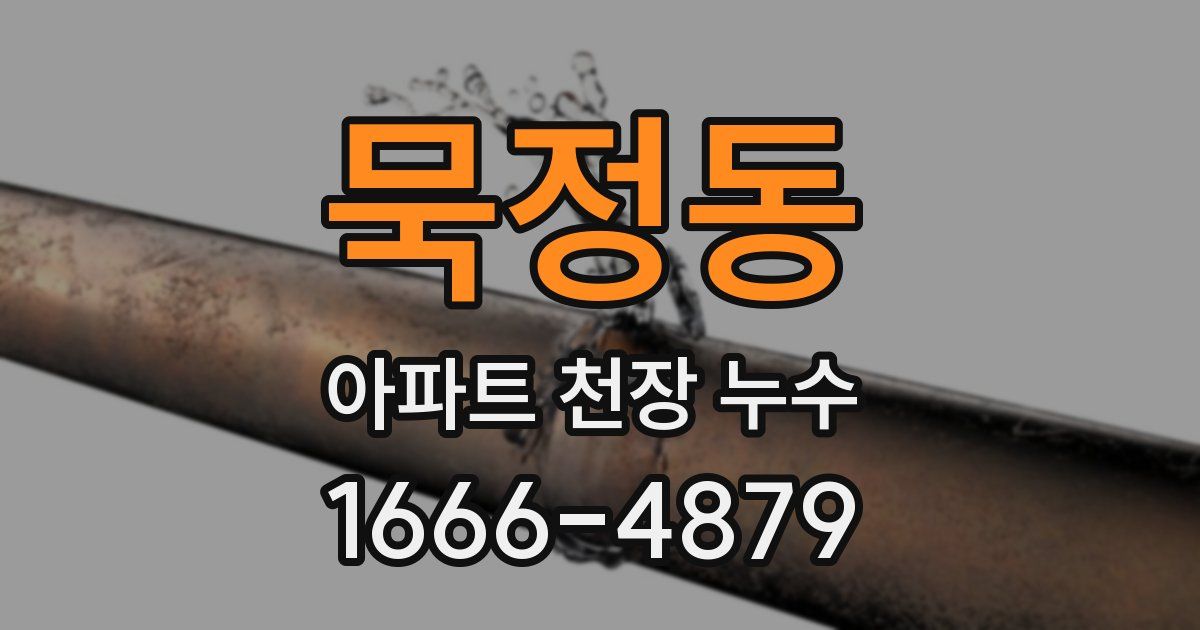 묵정동 아파트 천장 누수