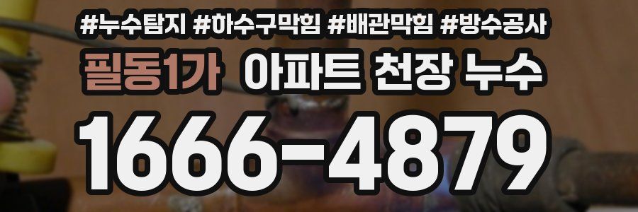 필동1가 아파트 천장 누수