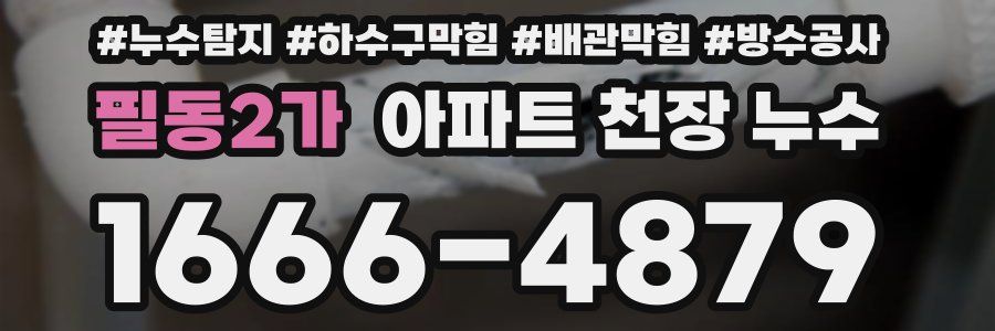 필동2가 아파트 천장 누수