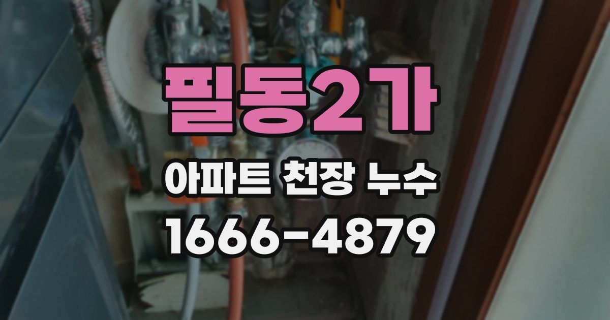필동2가 아파트 천장 누수