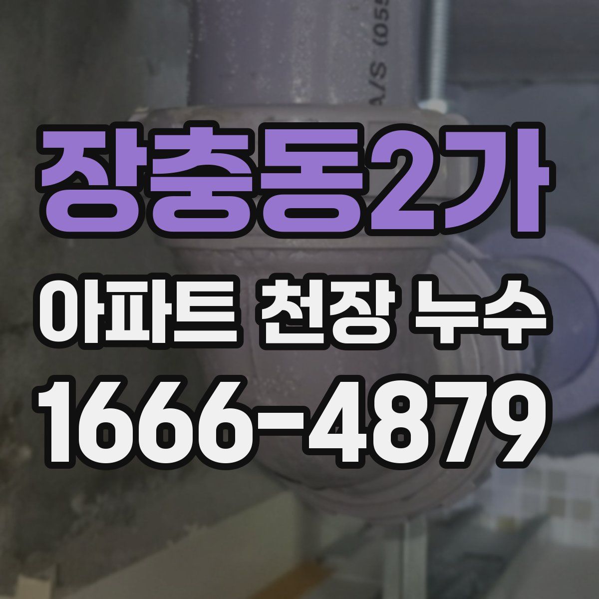 장충동2가 아파트 천장 누수