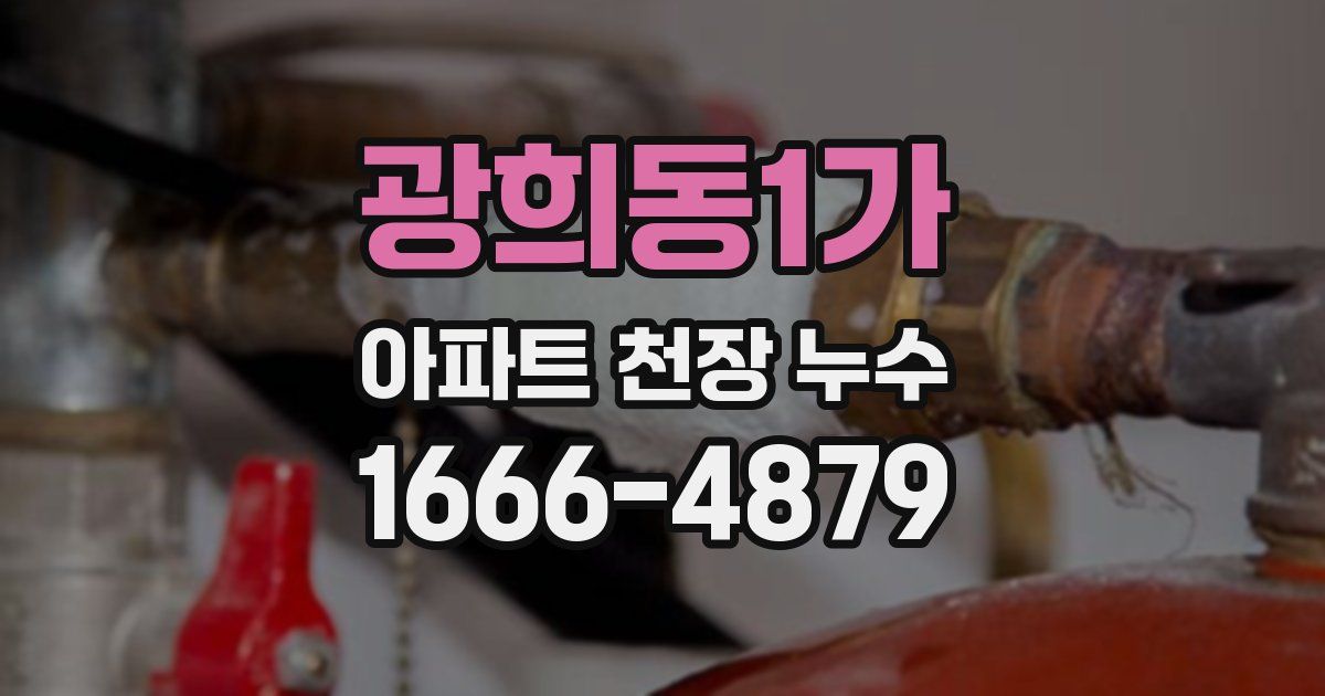 광희동1가 아파트 천장 누수