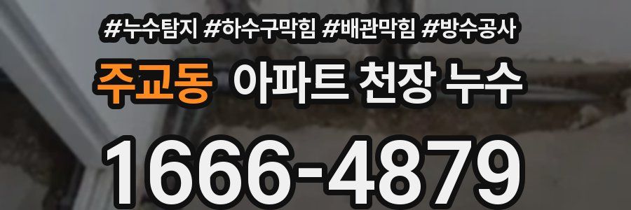주교동 아파트 천장 누수