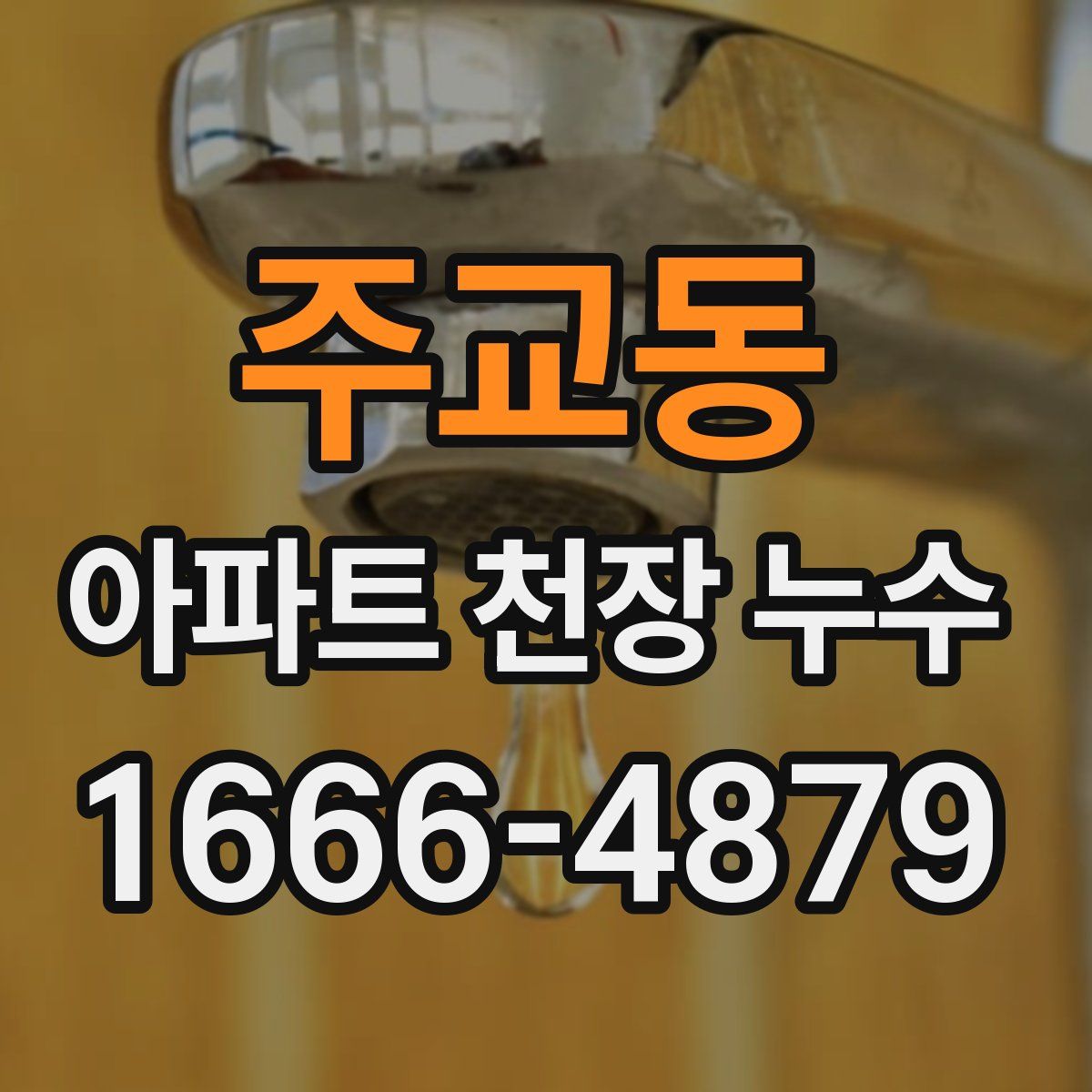 주교동 아파트 천장 누수