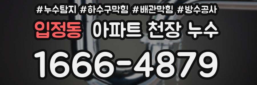 입정동 아파트 천장 누수