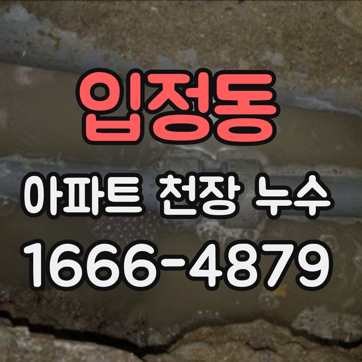 입정동 아파트 천장 누수