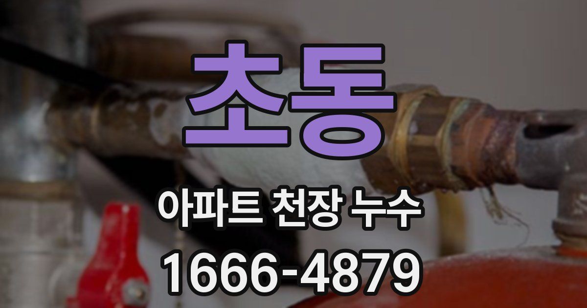 초동 아파트 천장 누수