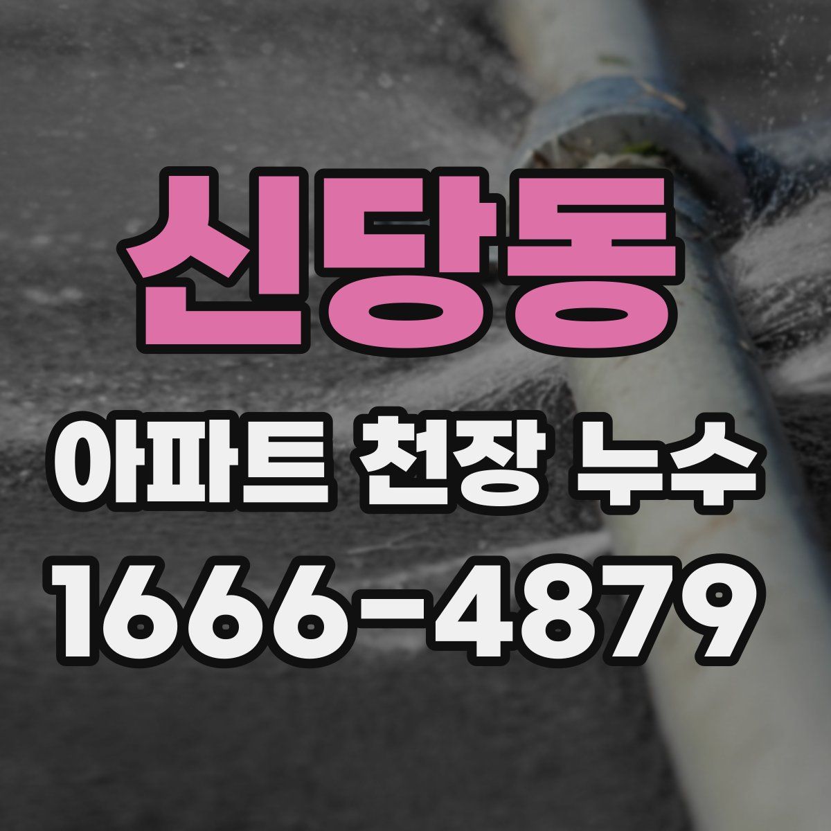 신당동 아파트 천장 누수