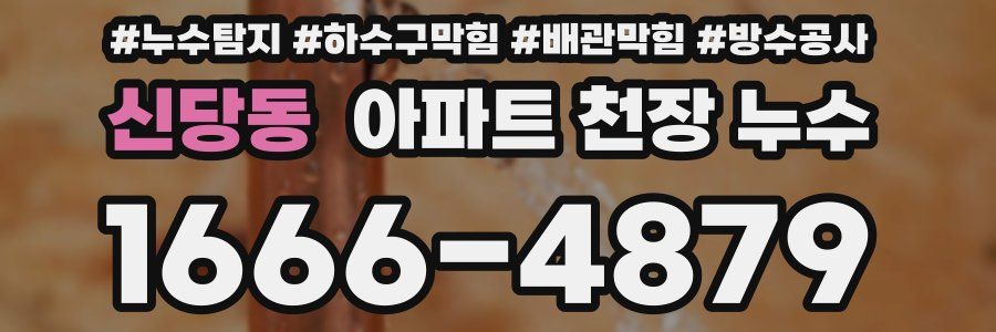 신당동 아파트 천장 누수