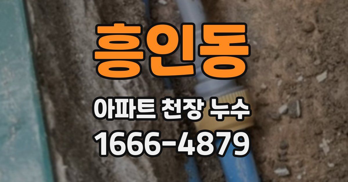 흥인동 아파트 천장 누수