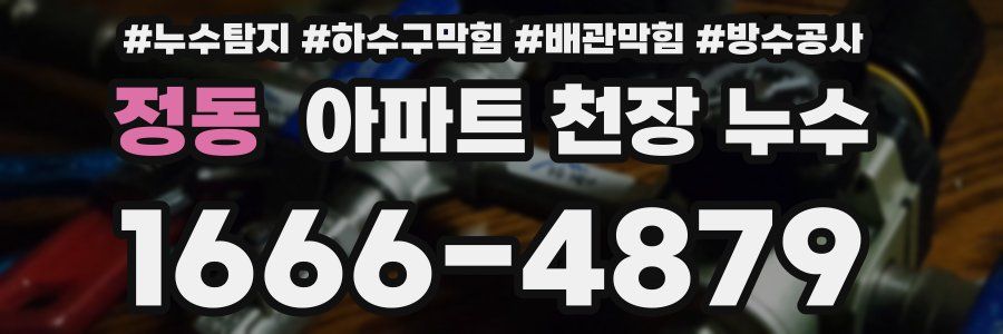 정동 아파트 천장 누수