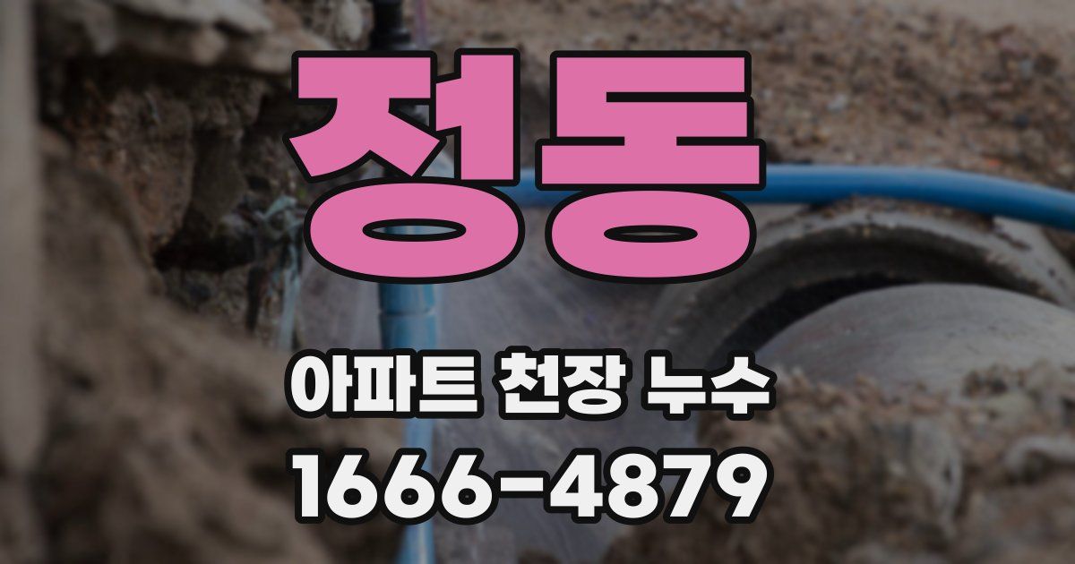 정동 아파트 천장 누수