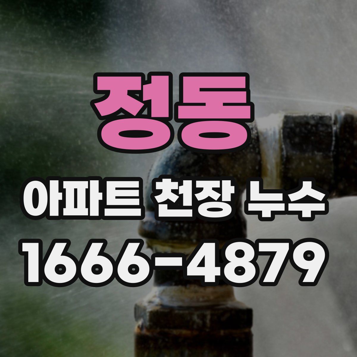 정동 아파트 천장 누수