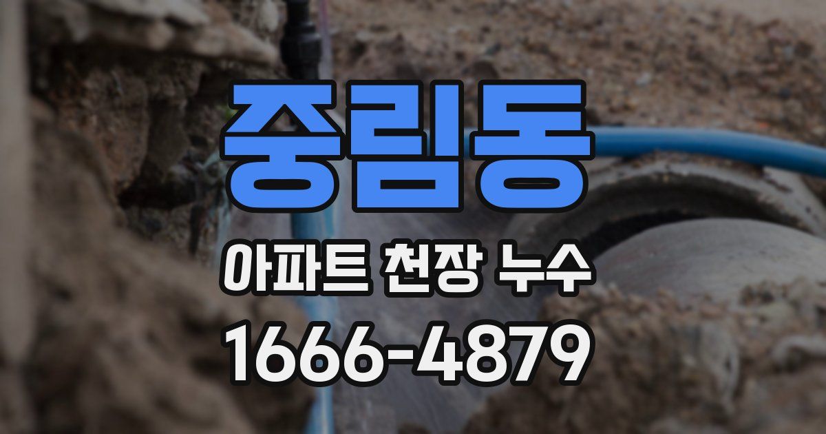 중림동 아파트 천장 누수