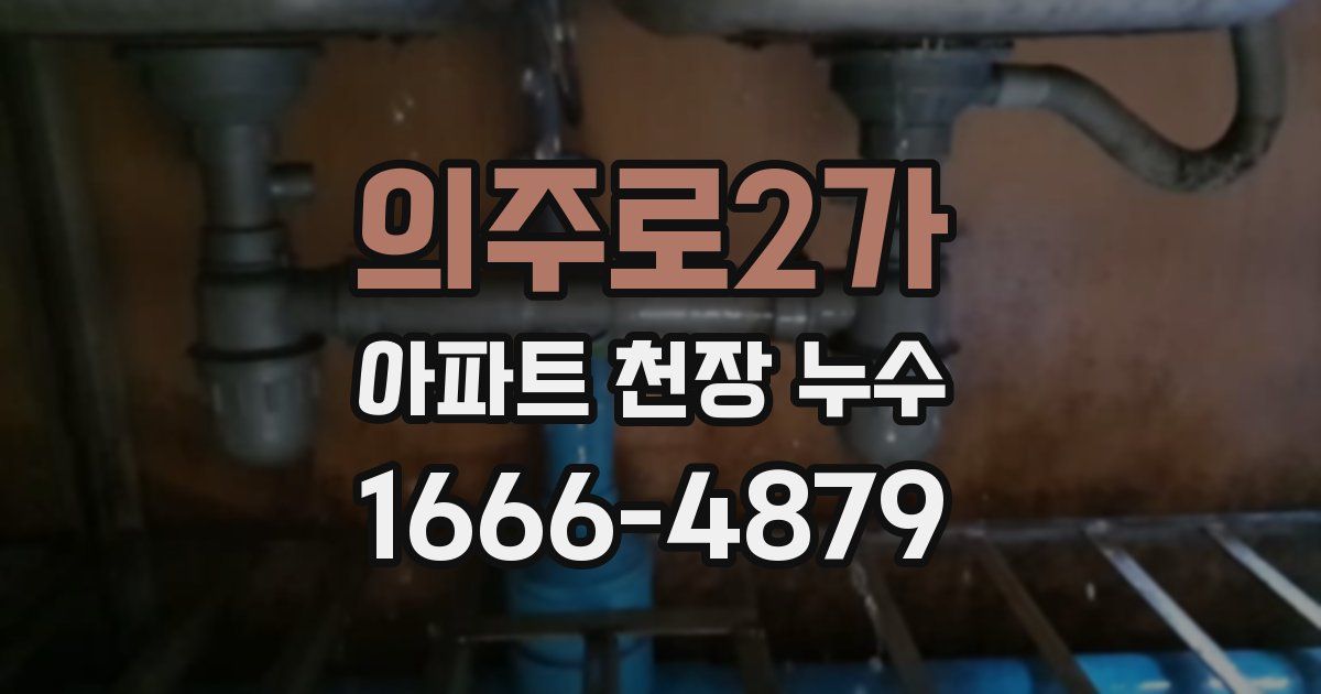 의주로2가 아파트 천장 누수