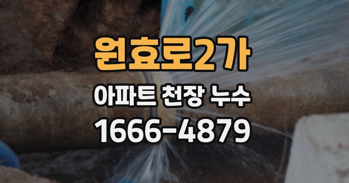 원효로2가 아파트 천장 누수
