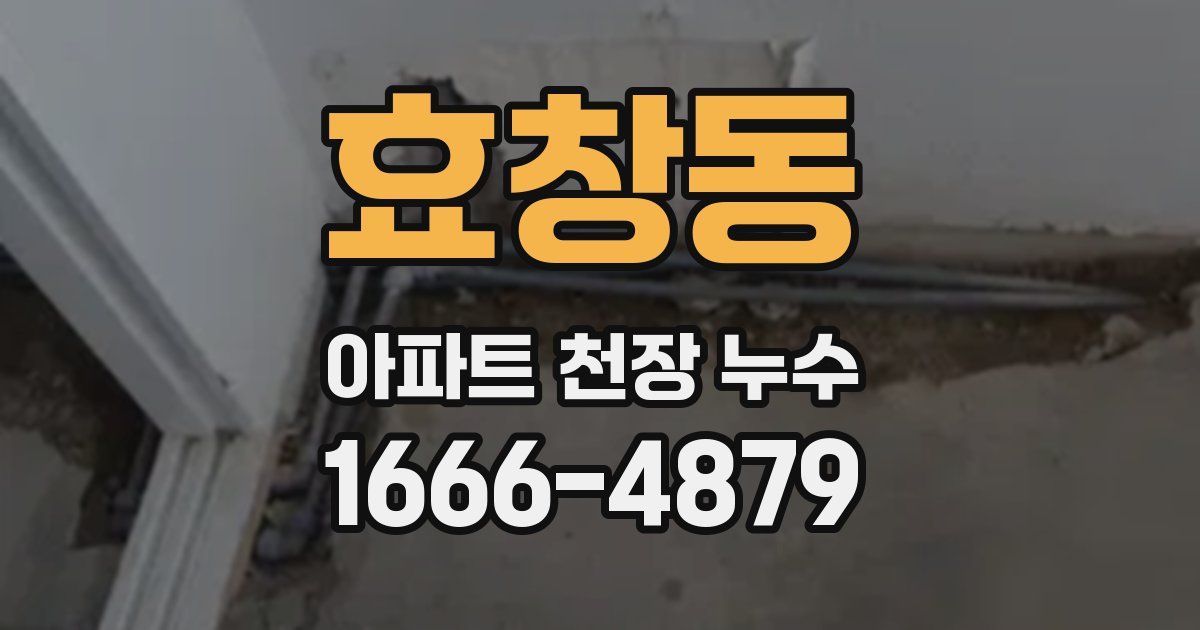 효창동 아파트 천장 누수