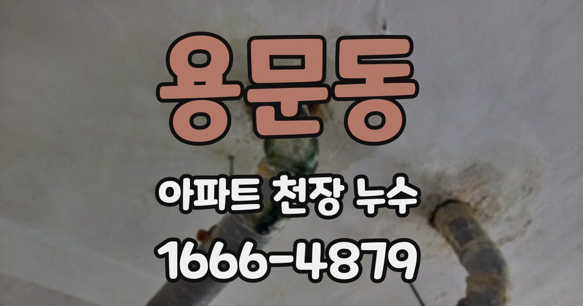 용문동 아파트 천장 누수