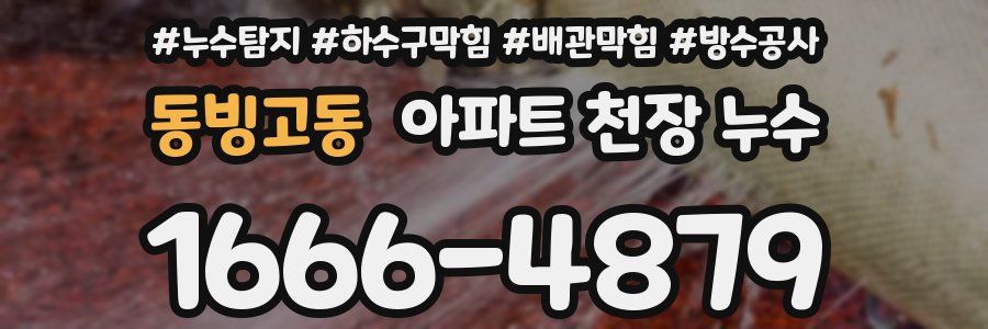 동빙고동 아파트 천장 누수