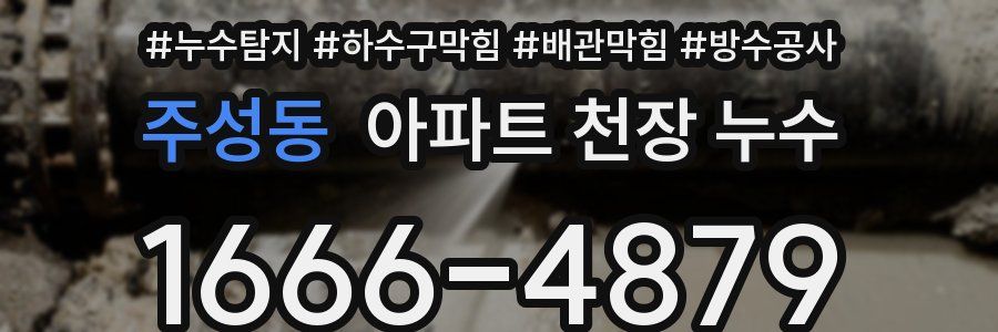 주성동 아파트 천장 누수