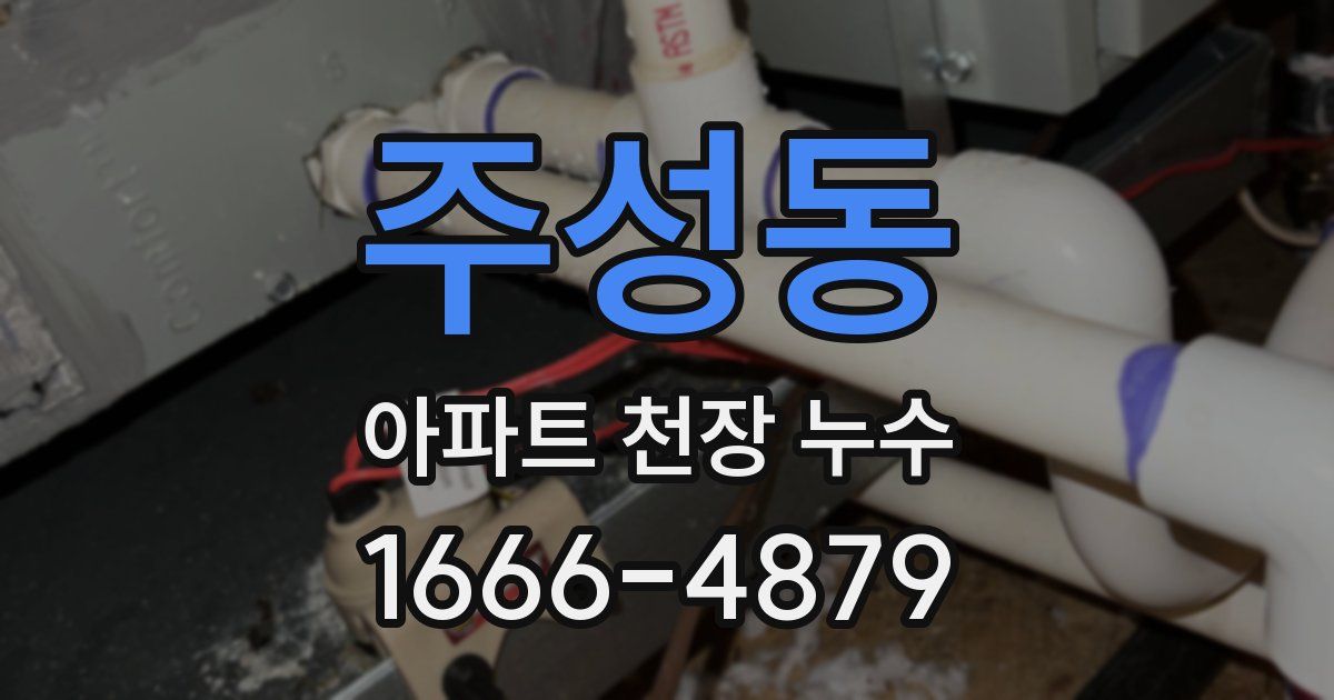 주성동 아파트 천장 누수
