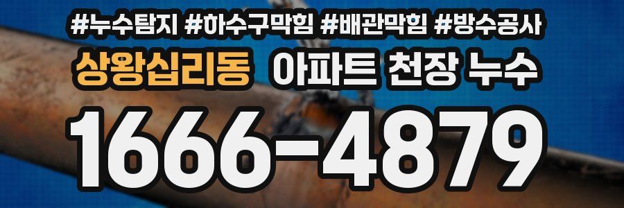 상왕십리동 아파트 천장 누수