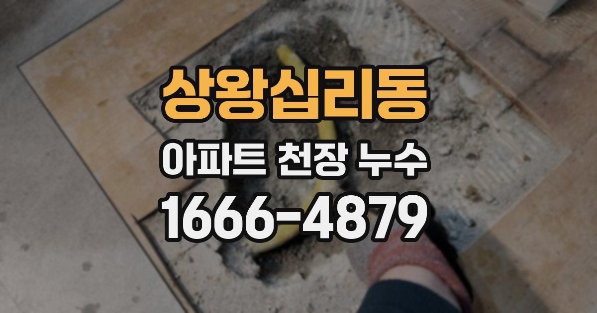 상왕십리동 아파트 천장 누수