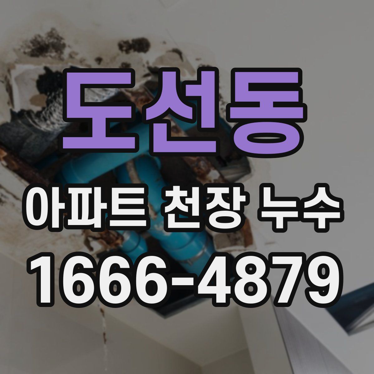 도선동 아파트 천장 누수