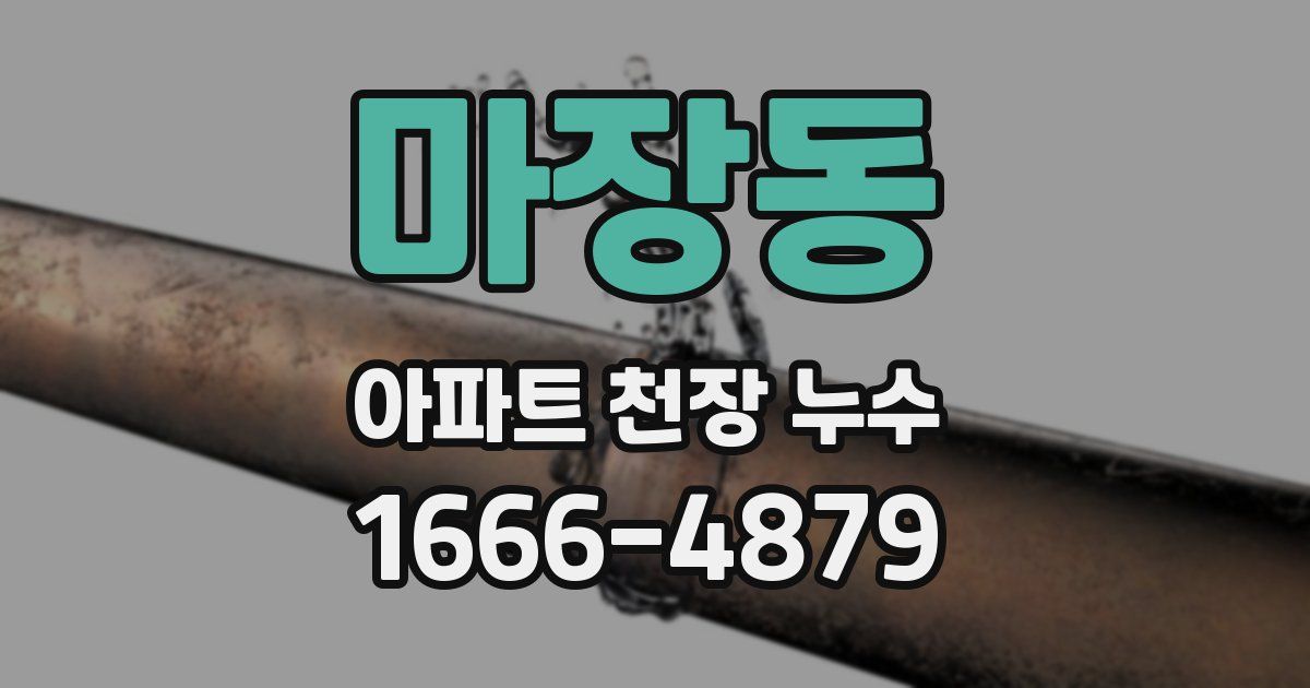마장동 아파트 천장 누수