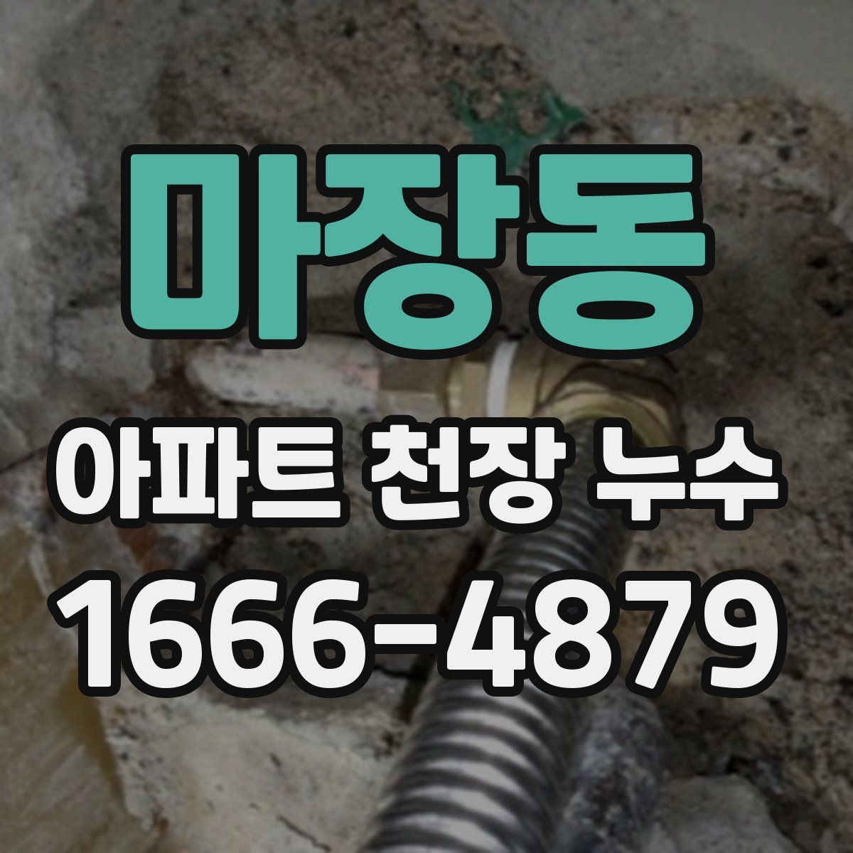 마장동 아파트 천장 누수
