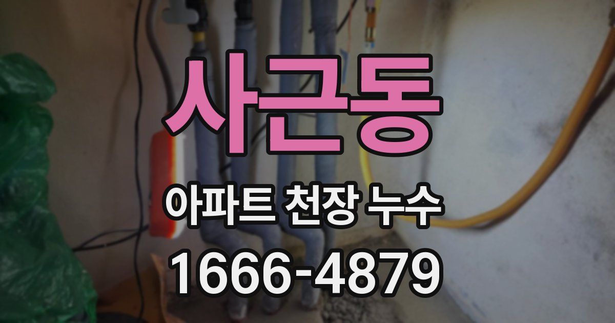 사근동 아파트 천장 누수