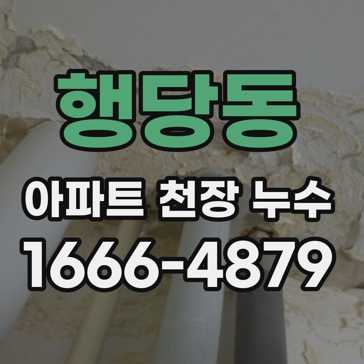 행당동 아파트 천장 누수