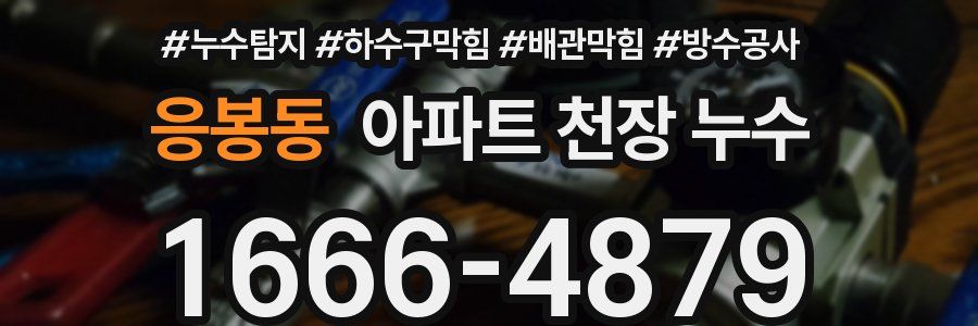 응봉동 아파트 천장 누수