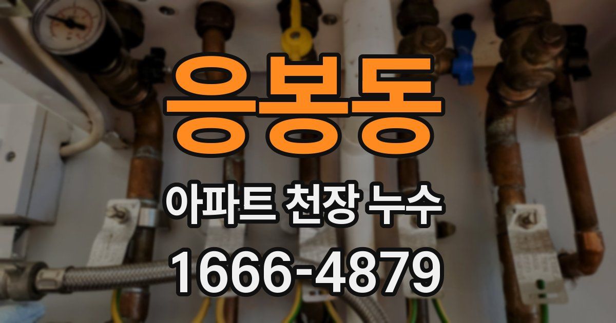 응봉동 아파트 천장 누수