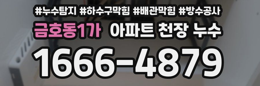 금호동1가 아파트 천장 누수