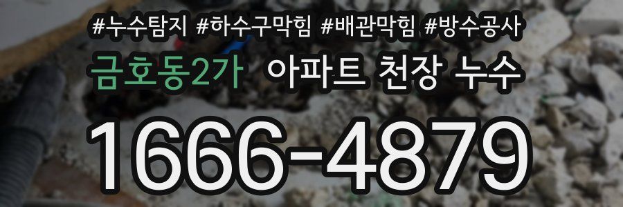 금호동2가 아파트 천장 누수