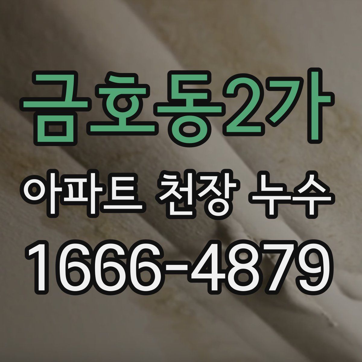 금호동2가 아파트 천장 누수