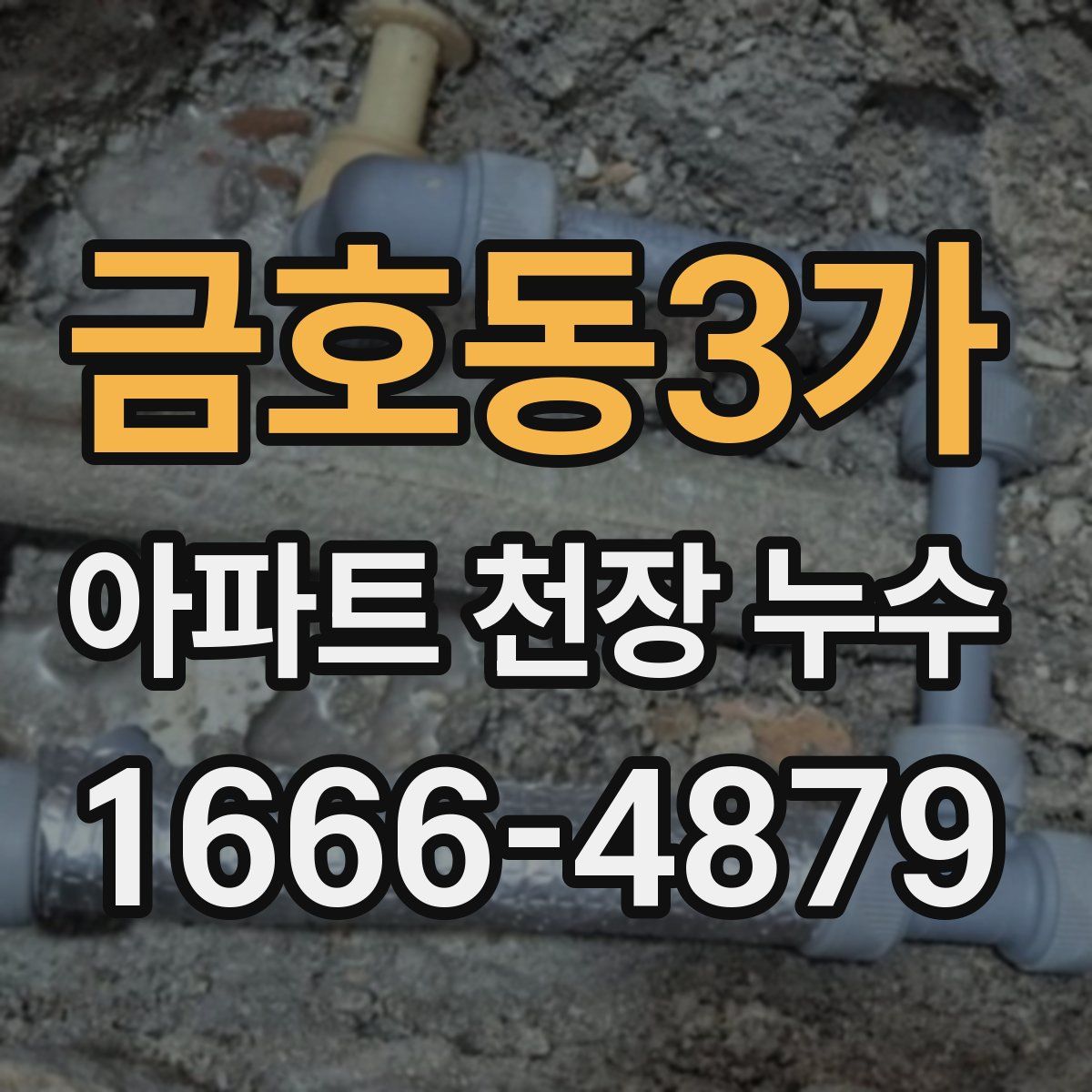 금호동3가 아파트 천장 누수