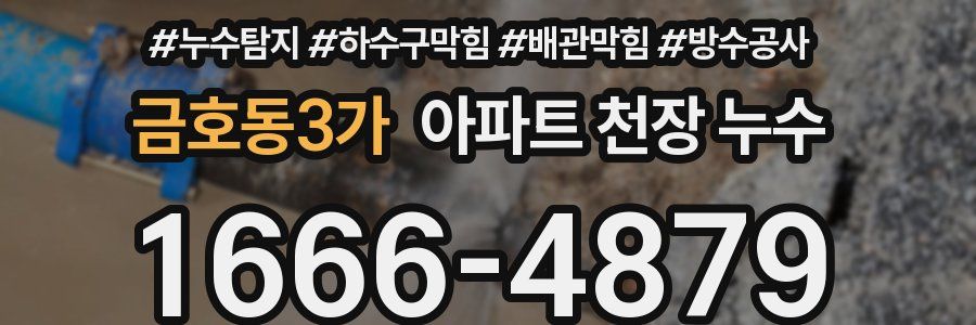 금호동3가 아파트 천장 누수