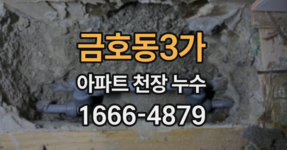 금호동3가 아파트 천장 누수