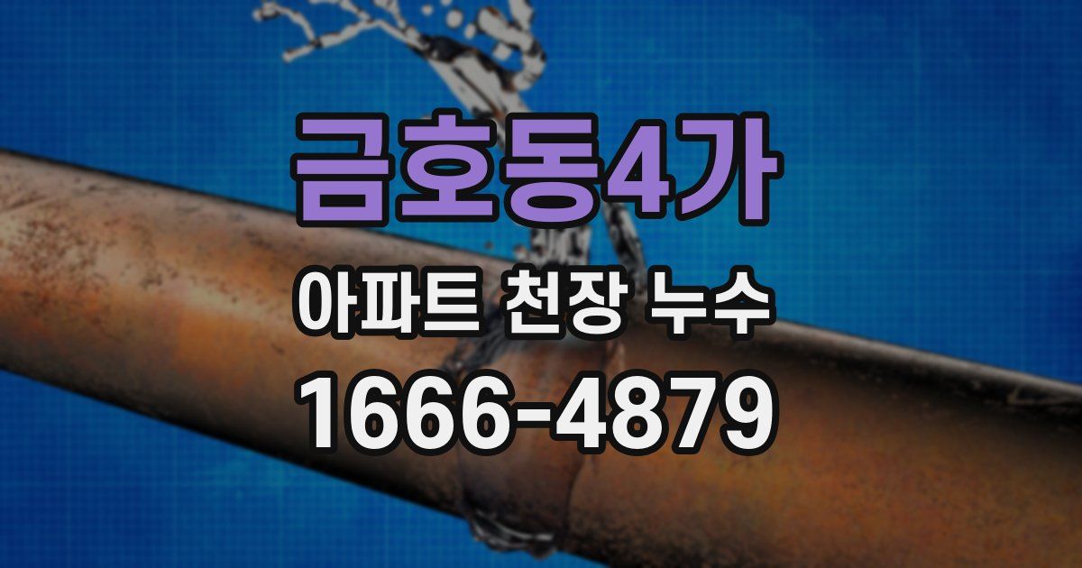 금호동4가 아파트 천장 누수