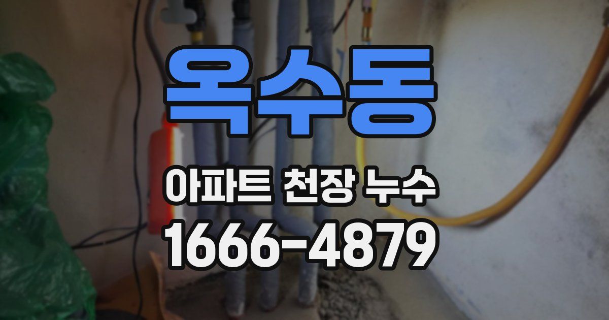 옥수동 아파트 천장 누수