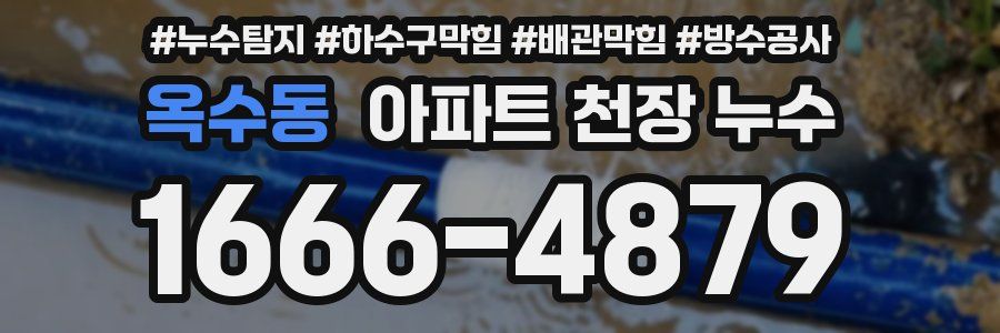 옥수동 아파트 천장 누수