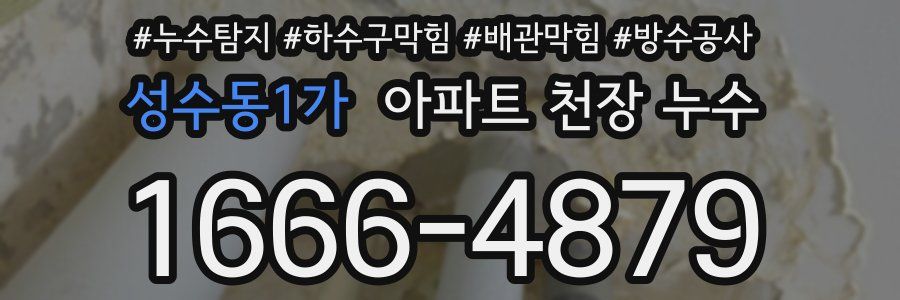 성수동1가 아파트 천장 누수