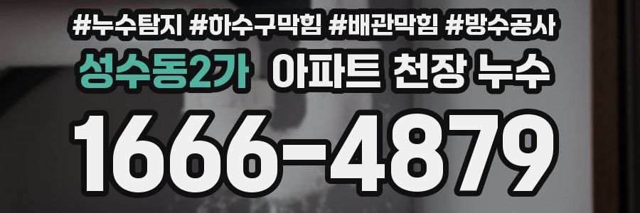 성수동2가 아파트 천장 누수