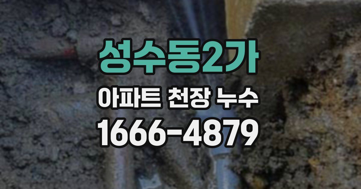 성수동2가 아파트 천장 누수